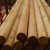 Treated Utility Poles For Electricity