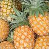 Fresh Pineapples