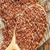 Jatropha Seeds, Castor Seeds, Flax Seeds