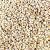 BEST QUALITY SAFFLOWER SEEDS