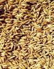 Premium Organic Oat Grain / Hulled Oats / Oat Meal/kernels/ flakes