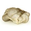 Oyster Mushroom for sale ..