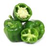 Fresh Capsicum , Yellow green and red capsicum, Fresh Capsicum Pepper