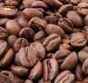 Wholesale Roasted Robusta Coffee