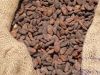 Cocoa Beans