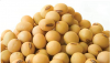 Soybeans High Quality Agricultural Products