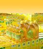 High Standard Refined Corn Oil