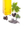 Castor Oil Seed, Crude and Refined Castor Oil / Castor Seeds