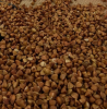 High Quality Raw Buckwheat For Sale