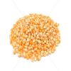 Yellow Maize, Dried Yellow Corn, Popcorn, White Corn Maize for Human & Animals Consumption