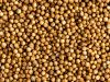 Our company supplies whole coriander seeds to different countries.