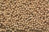 TOP QUALITY CHICK PEAS Wholesale
