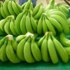 Bananas- Fresh Bananas