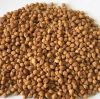 Grade A Desi Chickpeas and kabuli Chickpeas For Sale