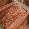 High Quality Natural Dry Raw Cocoa Beans