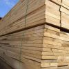 Pine & Hardwood timber / pine wood logs for supply.