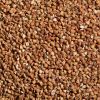 Good Roasted Buckwheat