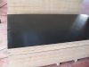 Sell 18mm black film faced plywood with poplar core