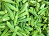 FRESH OKRA