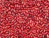 RED KIDNEY BEANS