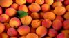 SOUTH AFRICAN FRESH PEACHES FOR EXPORT./ FRESH PEACHES / FRESH NECTARINES CLASS 1 (CAT 1) PREMIUM QUALITY FOR SALE