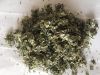 NATURAL HERBAL CIGARETTES RAW MATERIALS- DRIED MARSHMALLOW LEAVES