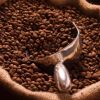 Robusta Coffee/Arabica Green Coffee Beans