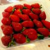 Fresh Strawberry, Strawberry Fresh Berries For Sale