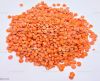 Red Lentils/Green lentils