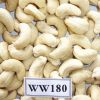 Cashew nut for wholesale Whole White Cashew Kernel ww180