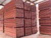 Padouk Wood in Saw Logs Sawn Timber And Customized Form
