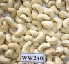 Raw and Processed Cashew Nuts