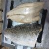 CHILEAN SEABASS, BUY FROZEN PATAGONIAN TOOTHFISH