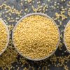whole sale yellow millet