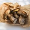 Boletus Mushrooms