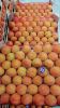 fresh Apricots for sale