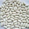 White Kidney Beans 2019 Crop Year