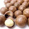 Top Quality Raw Macadamia Nuts in Shell