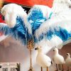 wholesale feather suppliers 30-32 inch Ostrich Femina Feathers Decoration For Carnival Ostrich Plumes Feather Wedding