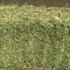 Fresh Alfafa Hay in Bales for sale