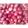 100% Fresh Indian Red Onion from Top Rank Exporter