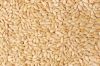 Sesame seeds White