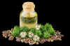 Refined Castor Oil