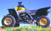 1998 Yamaha 350 Banshee