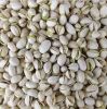 Cheap price wholesale Bulk Healthy Nut Pistachios for Sale