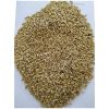 Yellow Millet Broom Corn millet for Bird feed