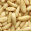 Wholesale Quality Pine Nuts