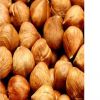 Hazelnuts Kernel , Dried Hazelnuts Kernel Hazelnut, Quality Hazel Nuts Grade A