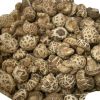 Quality Dry and Frozen Shiitake Mushrooms