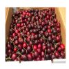 Fresh Cherry Wholesale